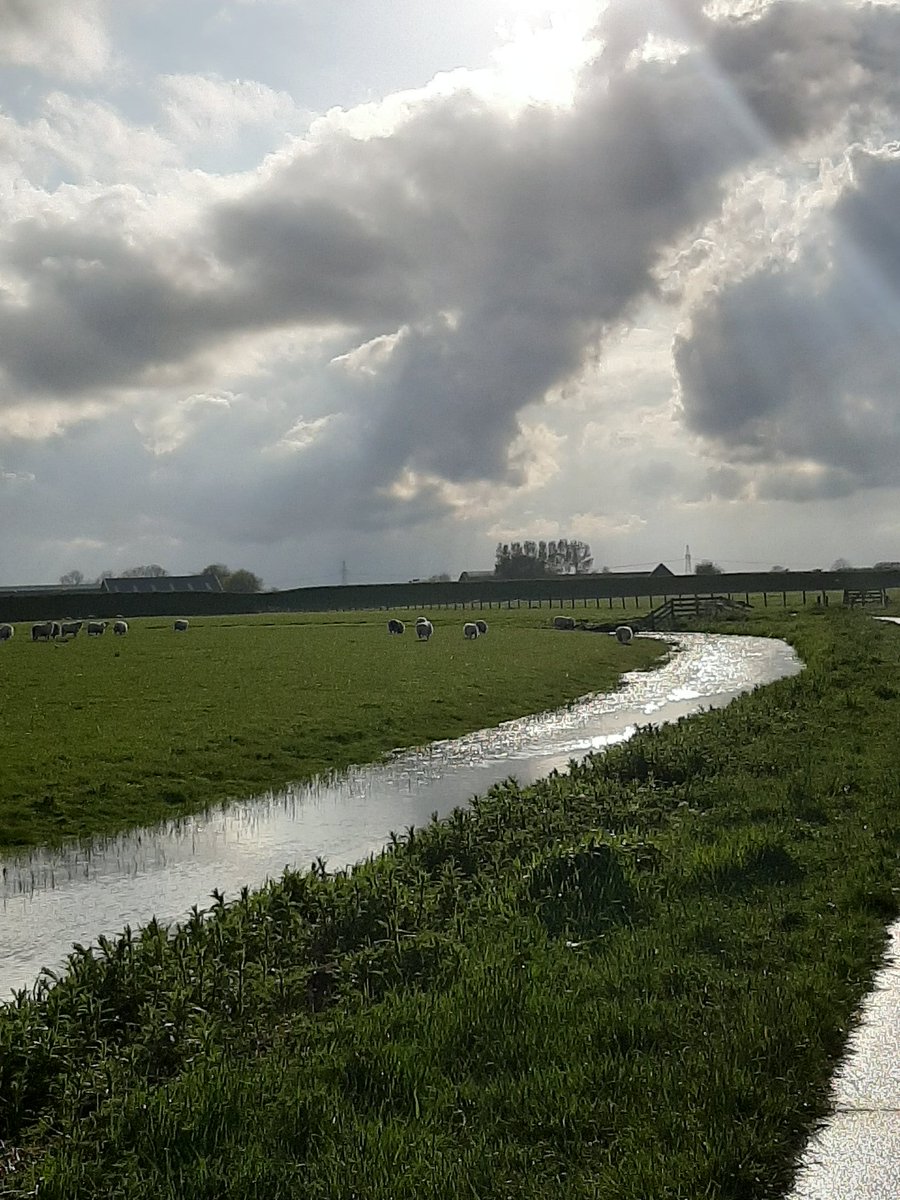 corhpol's tweet photo. Prachtig rondje #wandelen op @HetHogeland van #Winsum via #GrootWetsinge #Valkum #Garnwerd #Alinghuizen #KleinGarnwerd terug naar Winsum. #reitdiepdal #hethogeland #groningen #netherlands #blijffit https://t.co/ETS1eHcomX