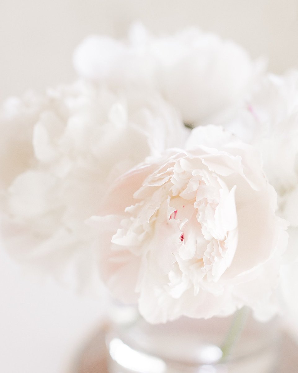 blushjamierose's tweet photo. Happy May Day! 🤍 https://t.co/JCp7eh1iCk