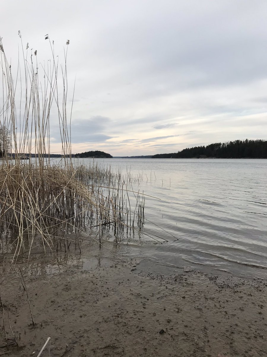 SatuRsnen's tweet photo. Onneksi on #luonto💚#vappupicnic @Vessölandet #ulkoilu #keepdistance #thinkwarm https://t.co/tckw8G41Ac