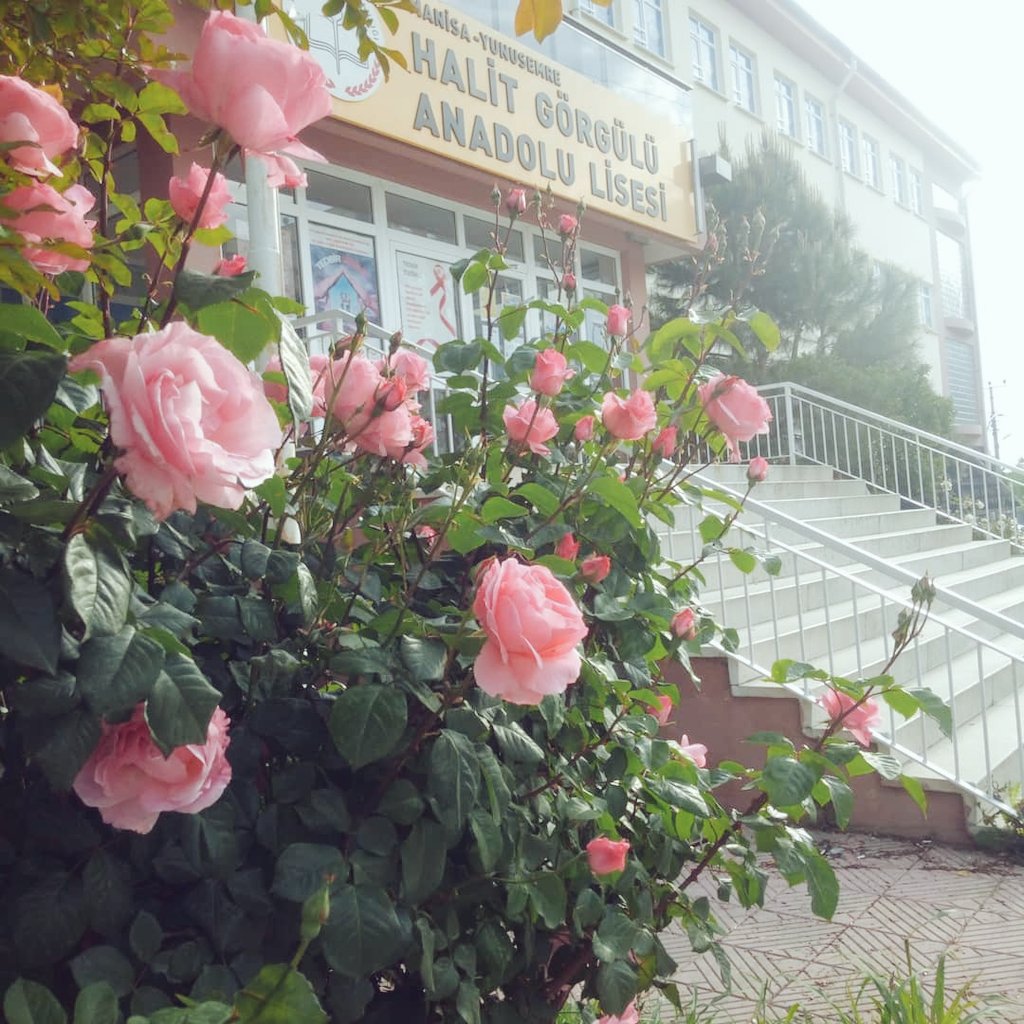 Halit Görgülü Anadolu Lisesi öğrenci ve öğretmenlerinin gelişini özlemle bekliyor! <a href="/acakir48/">ahmetçakır</a> <a href="/BS20121971/">Bengisu</a> <a href="/kubracelebi09/">Kübra ÇELEBİ D.</a> <a href="/mehmets97912370/">mehmet sever</a> <a href="/RecepSengul45/">Recep Sengul</a> @ucler_yildirim <a href="/yunusemre_mem/">Yunusemre İlçe Milli Eğitim Müdürlüğü</a>