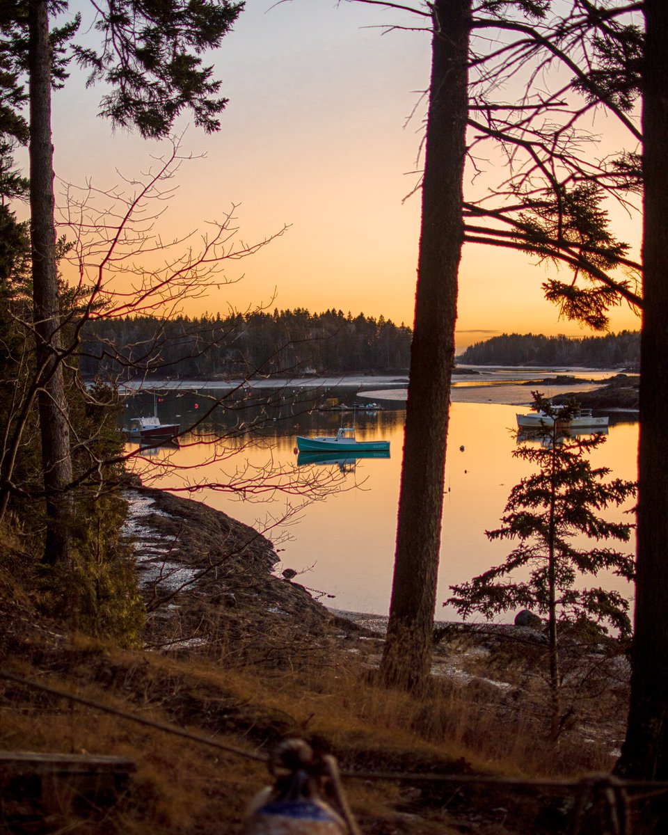 Skylar Pettingill on Twitter "Coastal Maine…