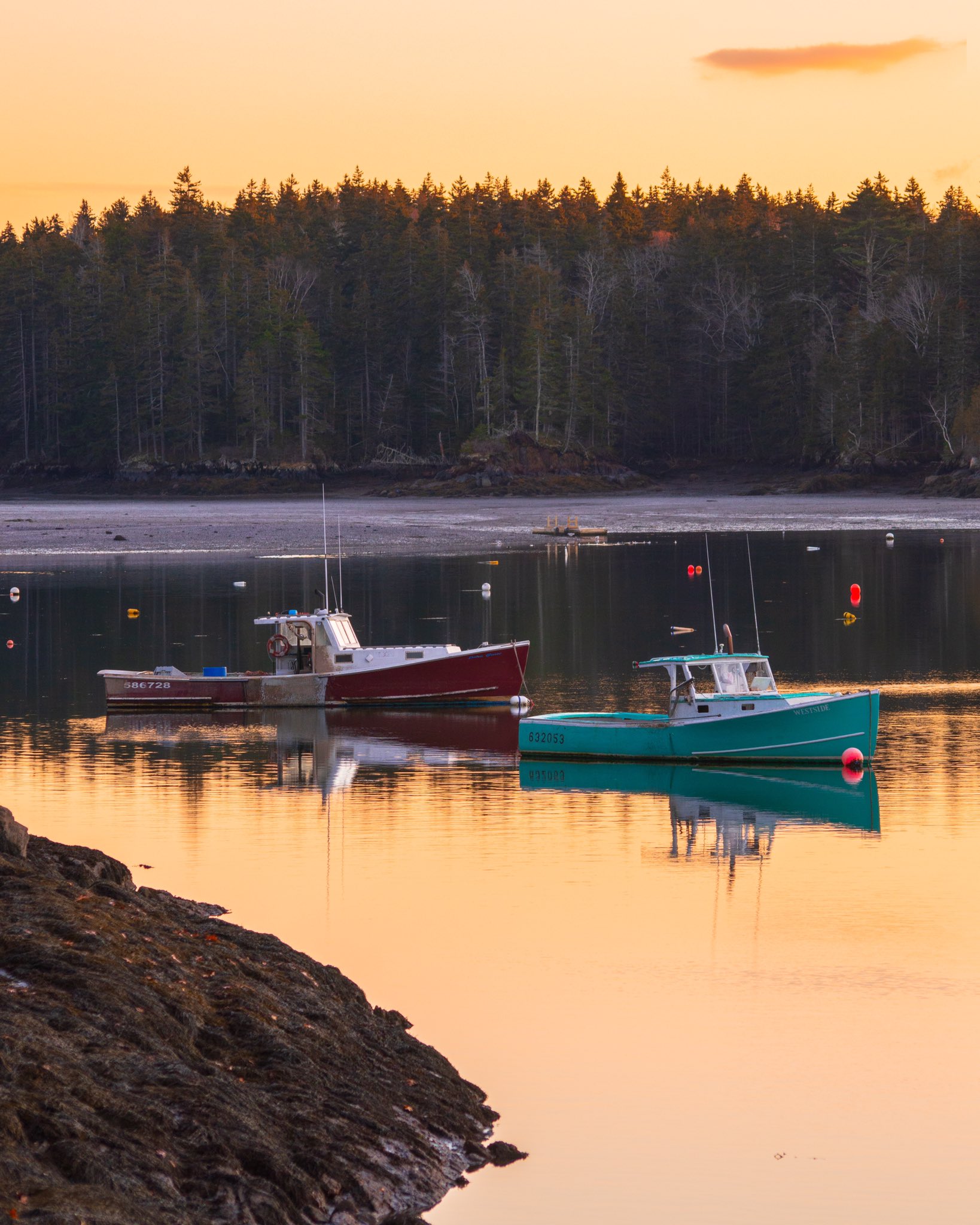 Skylar Pettingill on Twitter "Coastal Maine…