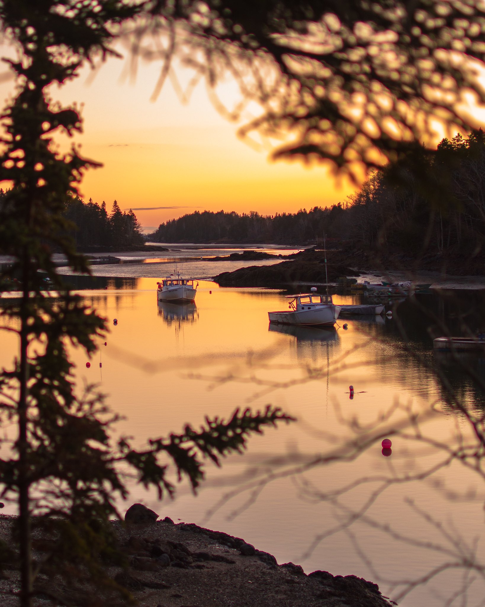 Skylar Pettingill on Twitter "Coastal Maine…