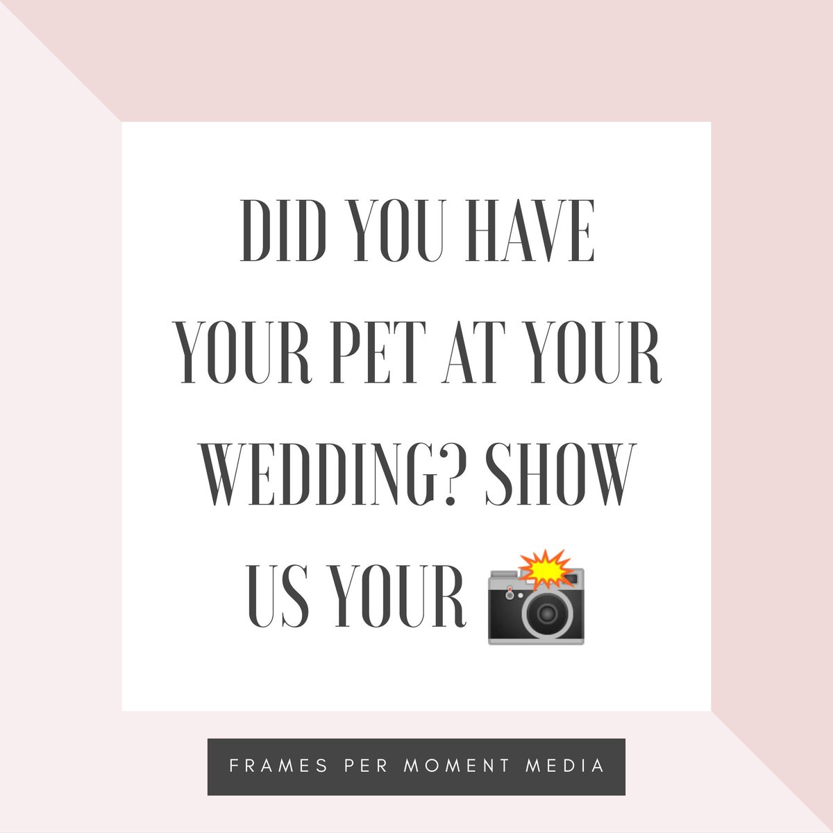 FramesM's tweet image. Tell us your stories and show us your snaps! 📸
•
•
•
#weddingfilm #weddingvideo #weddingflower #weddingrings #weddingvideographer #wedding #weddings #weddingvideography #weddingvibes #love #bride #groom #videography #smallbusiness
#weddingpets #petsatweddings #dogsatweddings