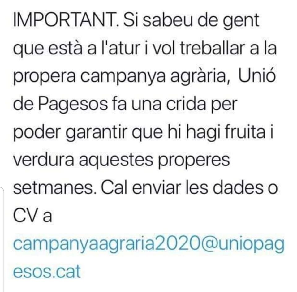 FanaletFernando's tweet photo. Això pot ser bo per a molts https://t.co/E5SI1oTD0H