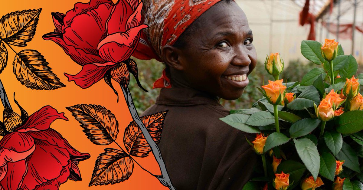 MCIC_CA's tweet image. May is #FairtradeMonth!🧡✊ This year’s theme is #4people4Planet. #DYK❓ that in addition to ensuring fair wages for farmers buying Fairtrade means contributing to #climateaction? Follow us for more fair trade info this month. @FairtradeCanada #FairtradeTogether