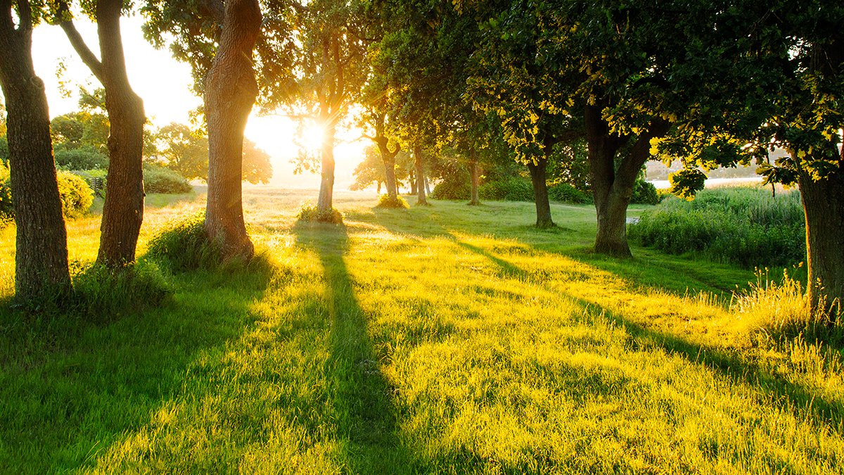 Peel Region tweet media