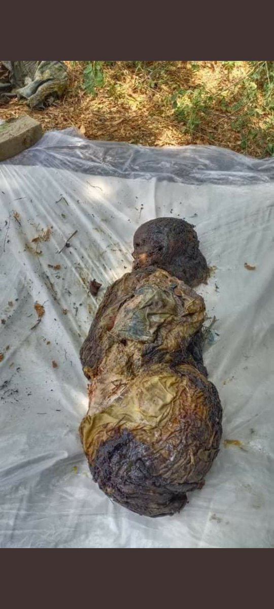 यह सब क्या हो रहा है हमारी यूपी में इतना गुंडागर्दी योगी जी आपके राज में ऐसा लगता है यूपी एक जंगल है