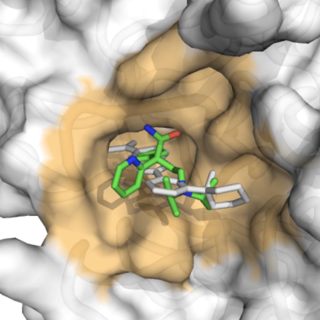 MScBMC's tweet photo. .@UTM alumnus-led team @Cyclica uses #AI to predict that drug #disopyramide will interact with human protein #TMPRSS2 involved in #SARSCOV2 infection. If validated pre-clinically, could mean acute treatment for #COVID19. https://t.co/PufqmKe5NX https://t.co/jaqa5jMBPV
