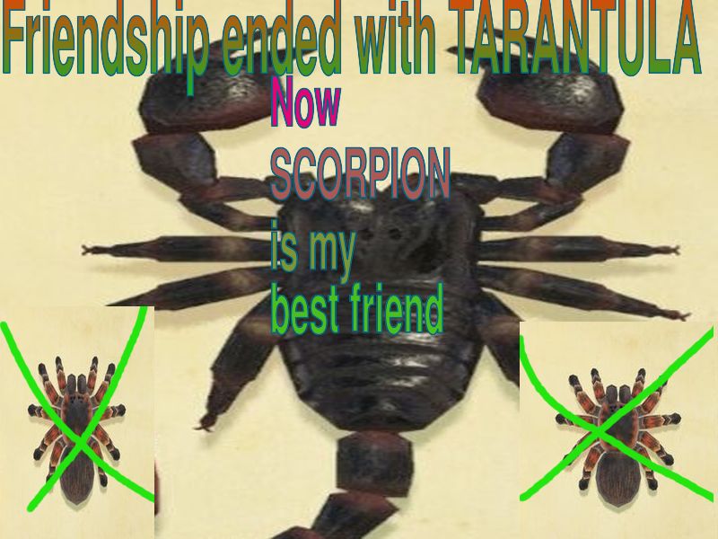 Proud of this one #AnimalCrossing #AnimalCrossingNewHorizons #acnw