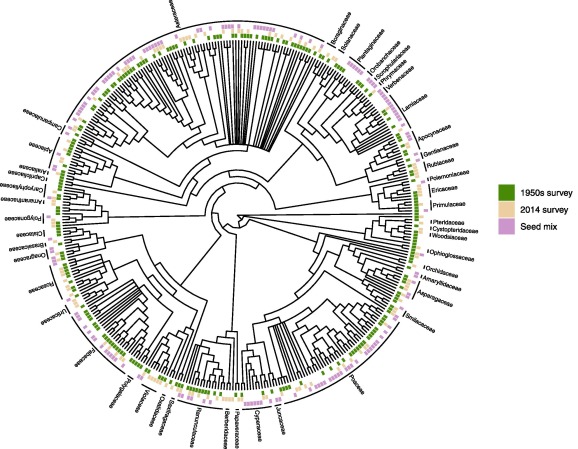 Our new paper on Midwestern oak savanna seed mixes is out! Led by <a href="/LauraLadwig/">Laura Ladwig</a> with <a href="/crzirbel/">Chad Zirbel</a> and @edamschen! Commercially available seed mixes have lots of different species than historical savannas but are functionally pretty similar. authors.elsevier.com/a/1av15_8cEVRf…