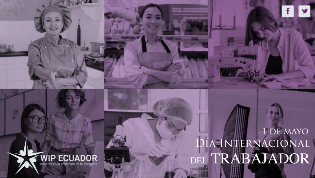 WIPEcuador's tweet photo. Según #NacionesUnidas, las mujeres conformamos el 70 % de la fuerza laboral en la salud. Estamos en todos los sectores dando lo mejor de nosotras siempre. ¡En este #DíaInternacionalDelTrabajador sigamos luchando por eliminar las brechas! #AbogadasEmpoderadas #WIPEcuador https://t.co/gzVqmHR0dB