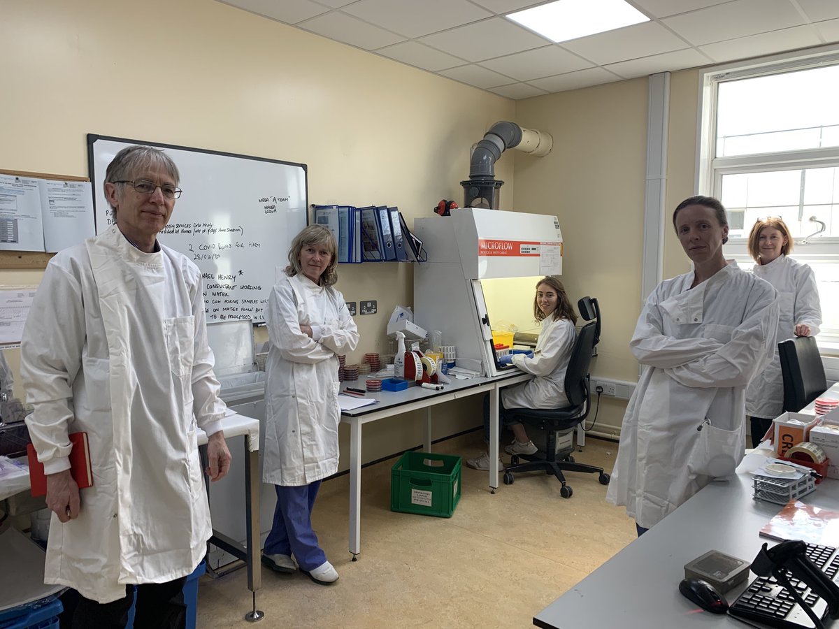 profmaryhorgan's tweet photo. Outstanding team @CUH  Isabelle O’Callaghan and Denise Cronin #medicalscientists delivering on #COVID19ireland testing all bank hol weekend #MayDay2020 ⁦@drcsadlier⁩ ⁦@louhbarry⁩ ⁦@PeopleofHSE⁩ ⁦@RCPI_news⁩ ⁦@paulreiddublin⁩ ⁦@SimonHarrisTD⁩ https://t.co/KW2i0O4Wmz