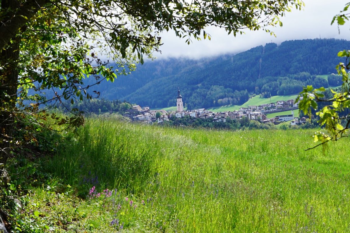 Kastelruth1's tweet photo. Frühling, Ruhe und Entspannung  
#südtirol @suedtirol_info @Kastelruth1 #1maggio #alleswaswirlieben #seiseralm #UNESCO https://t.co/Lfa0Ae1QQx