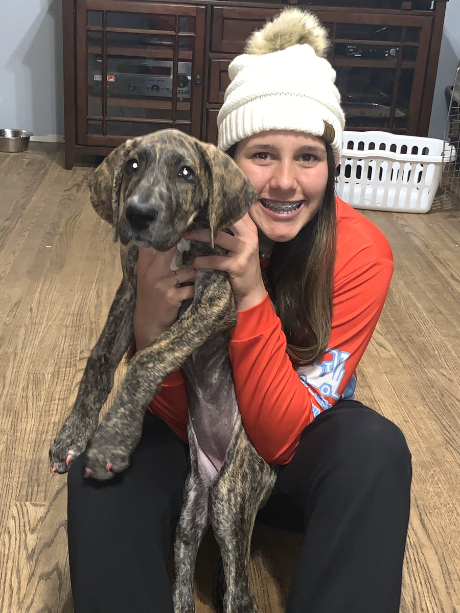 dchs_softball's tweet photo. Meet Stormi with Freshman #2 Laci Boggs @laci_boggs2023 . 🐾
She is a Great Dane, she loves to play outside! She likes to eat Laci’s hair.
#TwoPuppies Smile and enjoy your weekend! https://t.co/xDXB0GRX1j