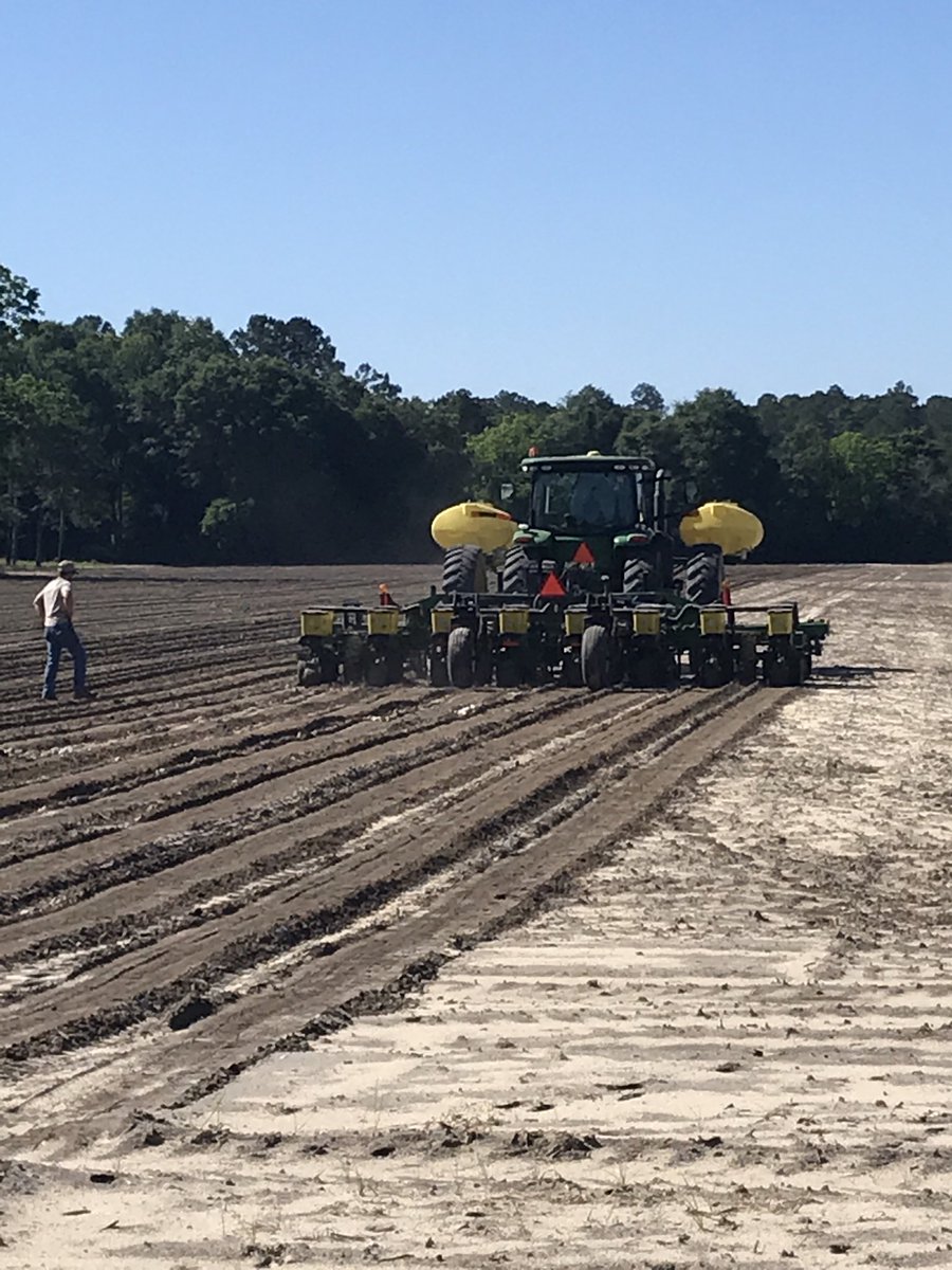 Back rolling again with cheap cotton in South GA!