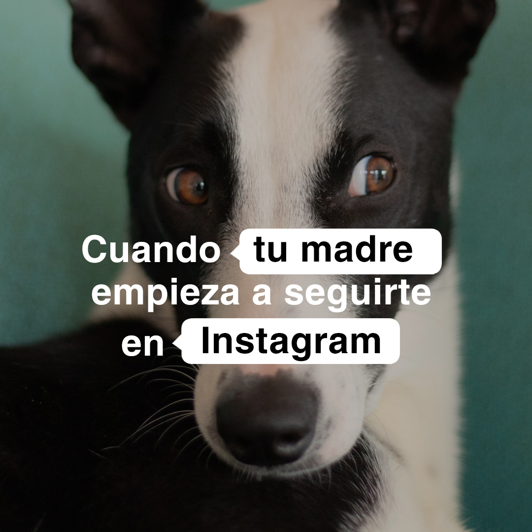 ⚠️☠️ Código rojo ☠️⚠️ 
Descárgate nuestra app en: leemurapp.com