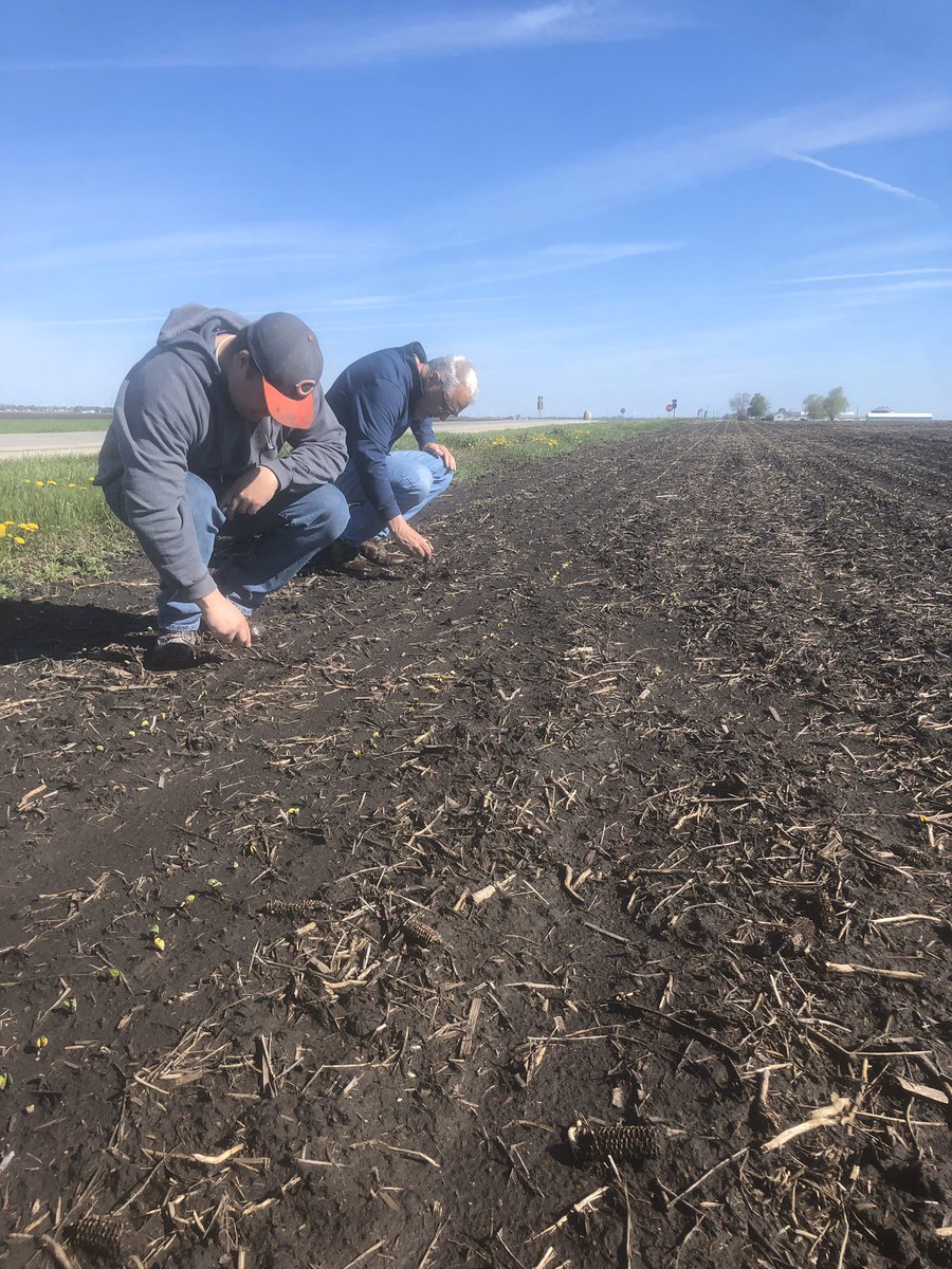casefarmer_mt's tweet photo. April 3rd planting date #SchroederFarms https://t.co/nBEcRVuHxP