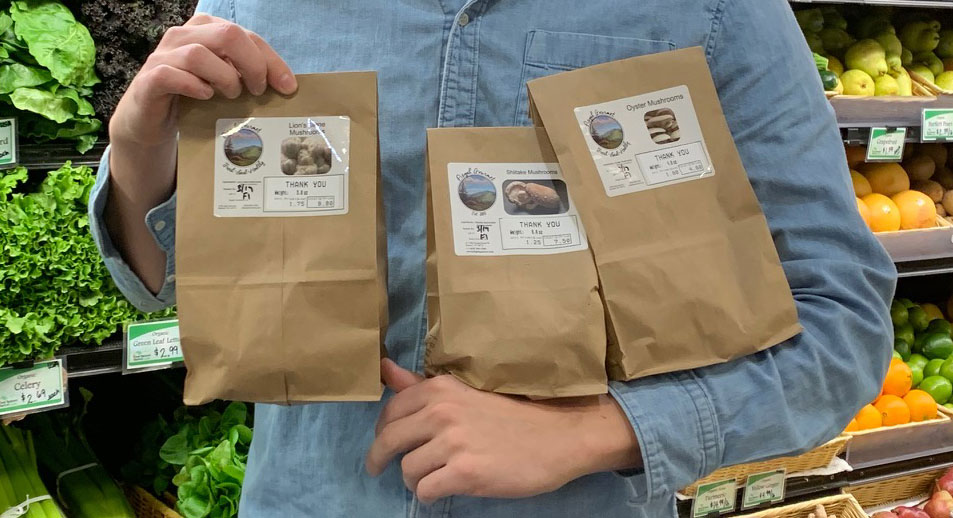 We have local mushrooms from Pisgah Gourmet! This Brevard-based business cultivates their mushrooms on raw locally sourced materials. We receive a fresh delivery every week. While supplies last!

#brevard #wnc #transylvaniacounty