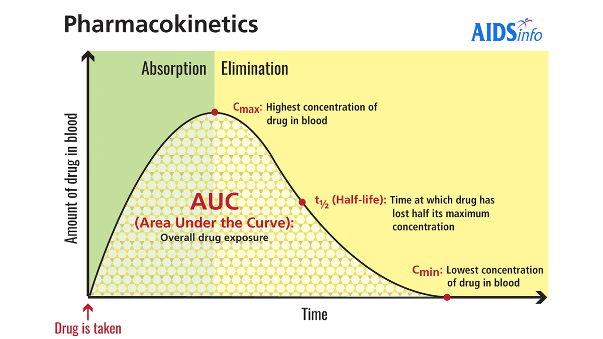 dihexa half-life pharmacokinetics Drug Half Life - an