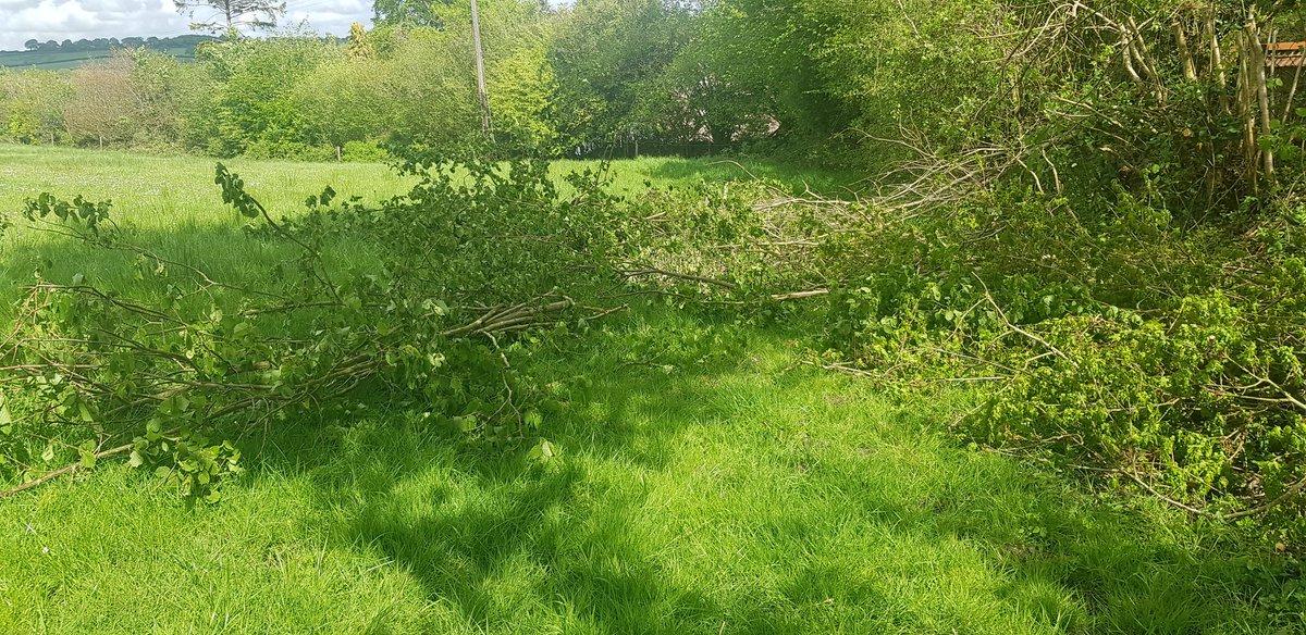 Moo4organic's tweet image. @wpduk contractors leaving a mess in the field. 
Glendale countryside limited will be sent a bill to finish the work they didn&apos;t do for @wpduk , how does a couple of grand sound?
#dothejobproperly