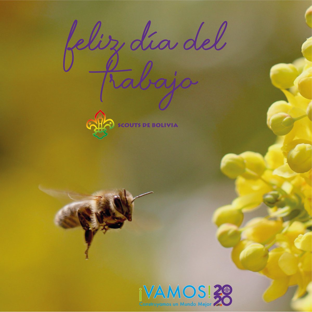 scoutsdebolivia's tweet photo. Feliz día del trabajo a aquellos que día a día  construyen UN MUNDO MEJOR de manera incansable desde el lugar donde están con mucha pasión y amor. 

#YoSoyUnScoutDeBolivia ⚜️ https://t.co/27oZrI5KKd