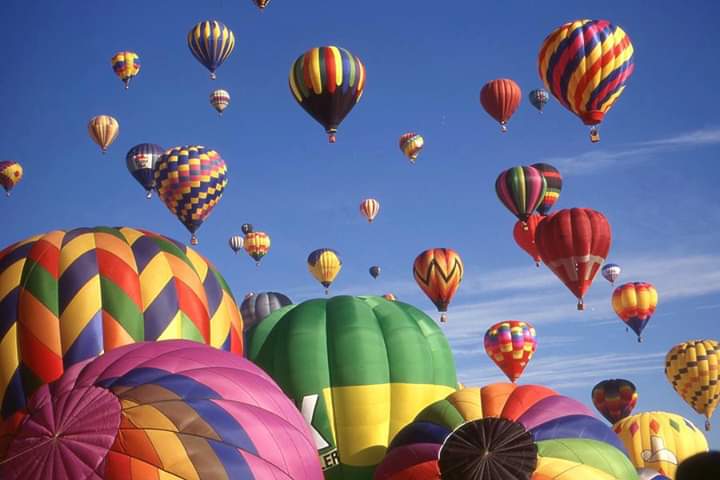 Happy Birthday day Tim McGraw I hope your day is awesome. 