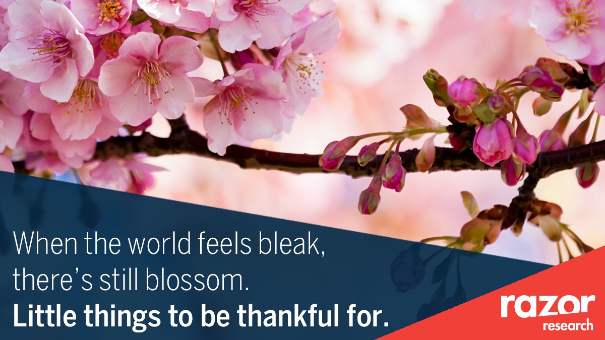 RazorResearch's tweet image. It&apos;s #TheLittleThings. #RazorResearch