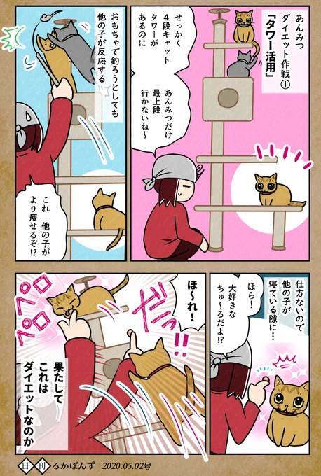 【毎日更新/猫マンガ】猫のダイエット話_2、キャットタワーを使うと…?#保護猫3兄妹 #猫 #ねこ漫画 #コミックエッセイ #猫まんが 