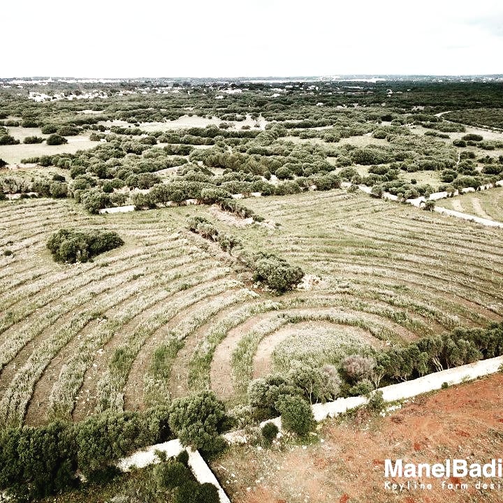 francescfont_'s tweet photo. A vegades el dron els ajuda a veure-ho més clar.../ sometimes the drone helps us to see it more clearly ...
Fent #keylinedesign a #menorca amb el nostre equip de @agroassessor i @keyline_mbadia https://t.co/zTu8qBUQy0