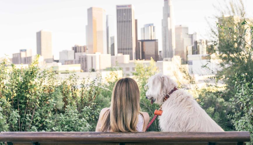 DogandCatLover4's tweet photo. 5 accelerator programs backing innovative pet food, treat brands https://t.co/sBEFTWA6UE
