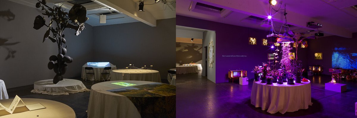 e_flux's tweet photo. Temporary Gallery Centre for contemporary art - Floraphilia. Revolution of plants

#TemporaryGallery #Floraphilia

More info: https://t.co/jwMielm7lJ https://t.co/kht5z5KqRZ
