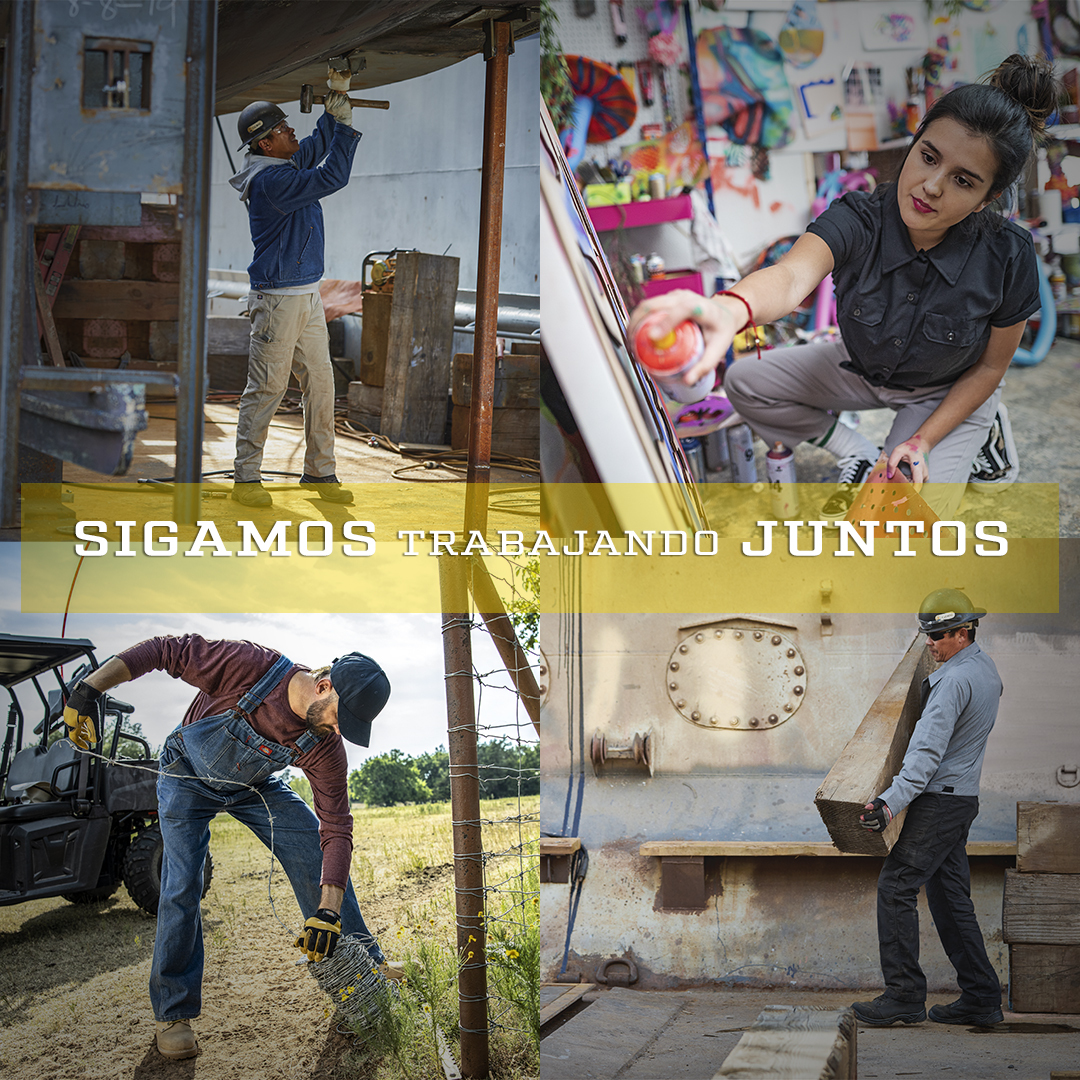 Dickies México tweet media