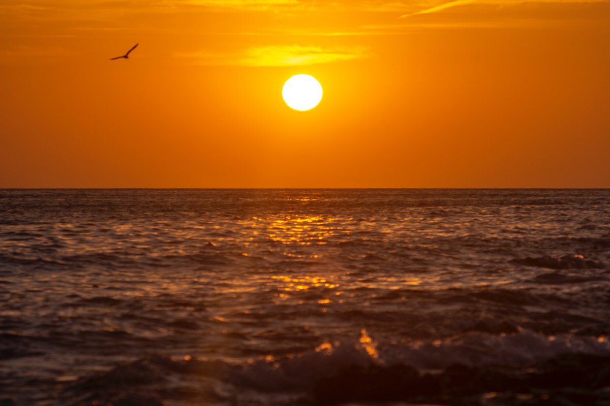 Summertime is our favourite colour. 🌤️