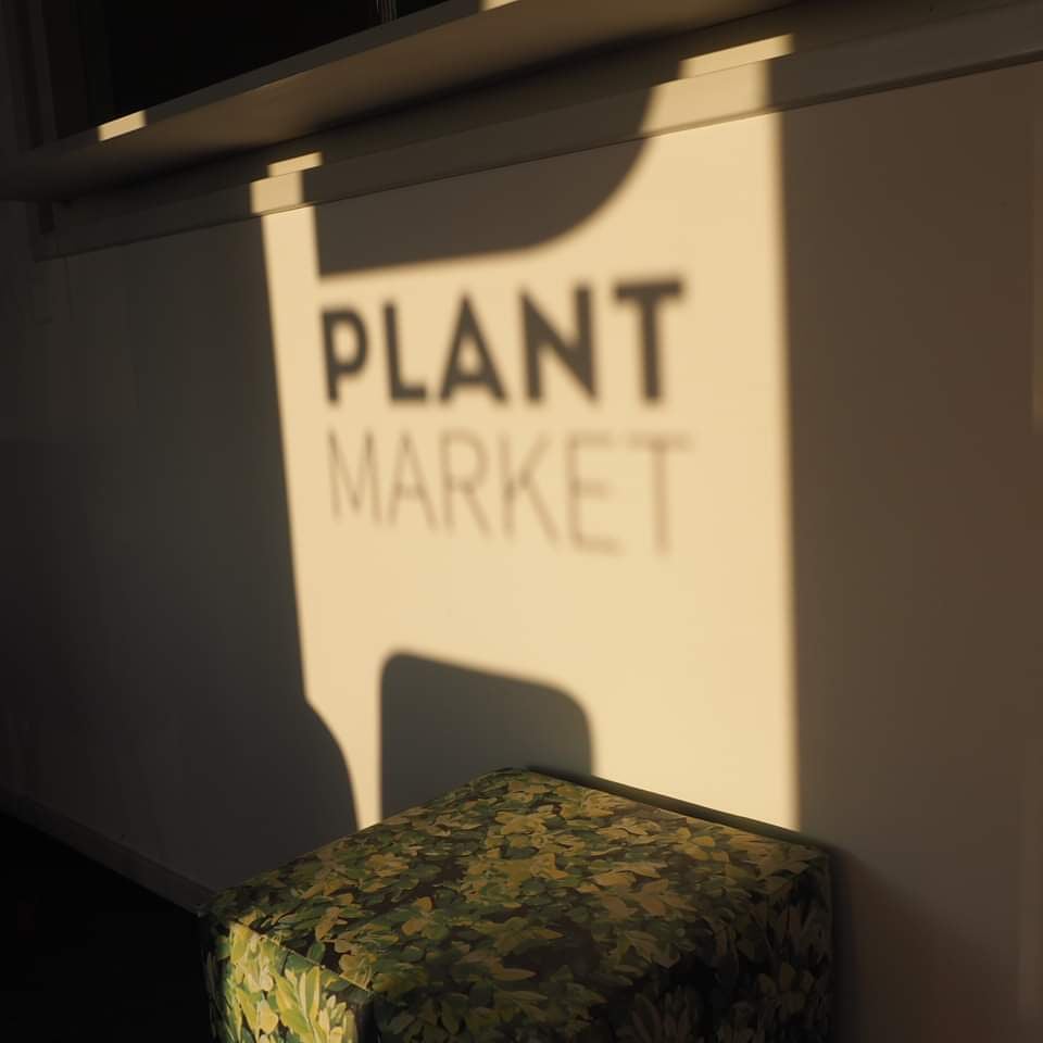 We know that the rain is good for the plants, but we secretly desire the sunshine!🌞 Have a good weekend!