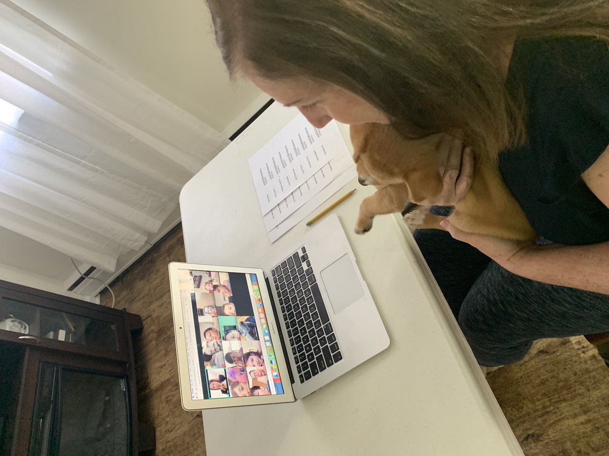 mrsrouseroom21's tweet photo. We all enjoyed sharing something special during our virtual “Show-and-Tell!”  @GraceParkElem                           #gpp                                       #stayingconnected                  #room21ersrock https://t.co/AVwtdvMkt1