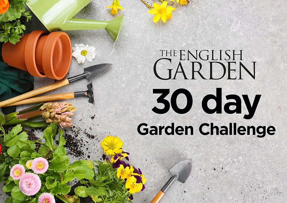 TEGmagazine's tweet photo. Another week, another task in our gardening challenge. This one will get your nosebuds tingling.    https://t.co/Frhi0RQdac

#30daygardenchallenge #MondayMotivation #gardening https://t.co/GRqCM2Y2Ke