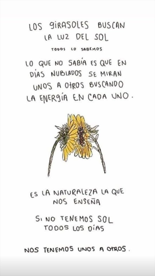 Sole 🇦🇷⭐⭐⭐ tweet media