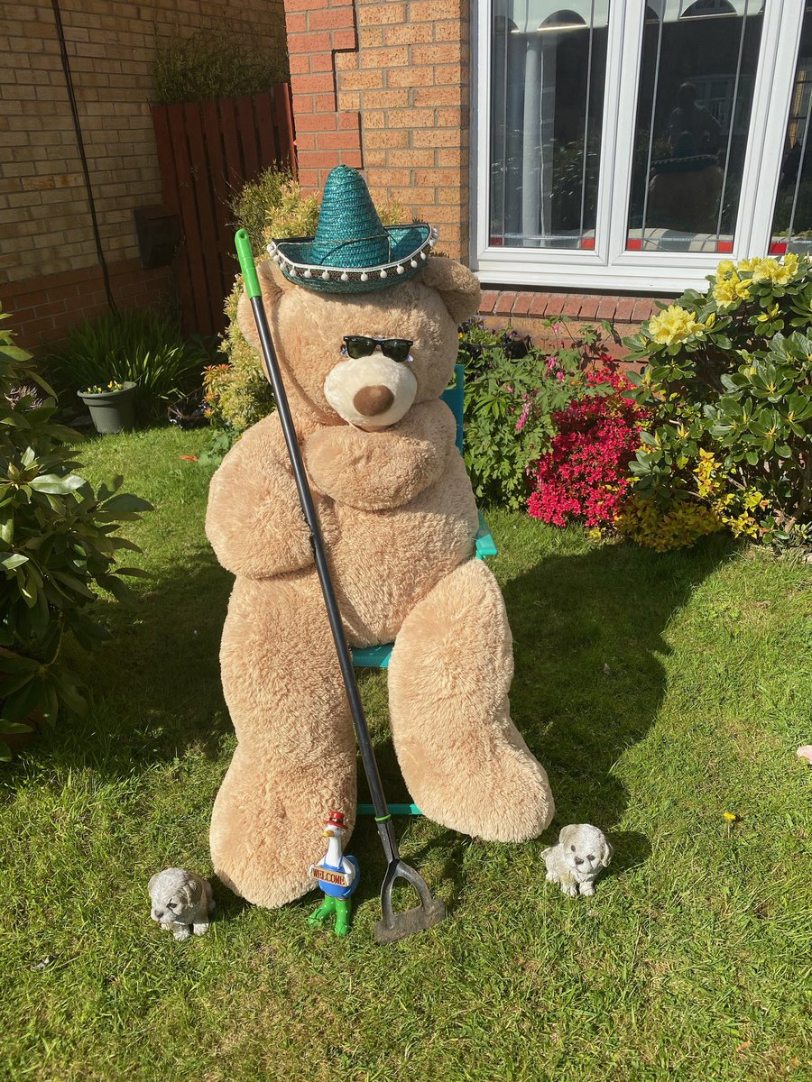 MrsNelson08's tweet photo. Iβm ready π»β€οΈ #rosiebearhunt #randomactsofcommunity https://t.co/JM9j3gHGj0