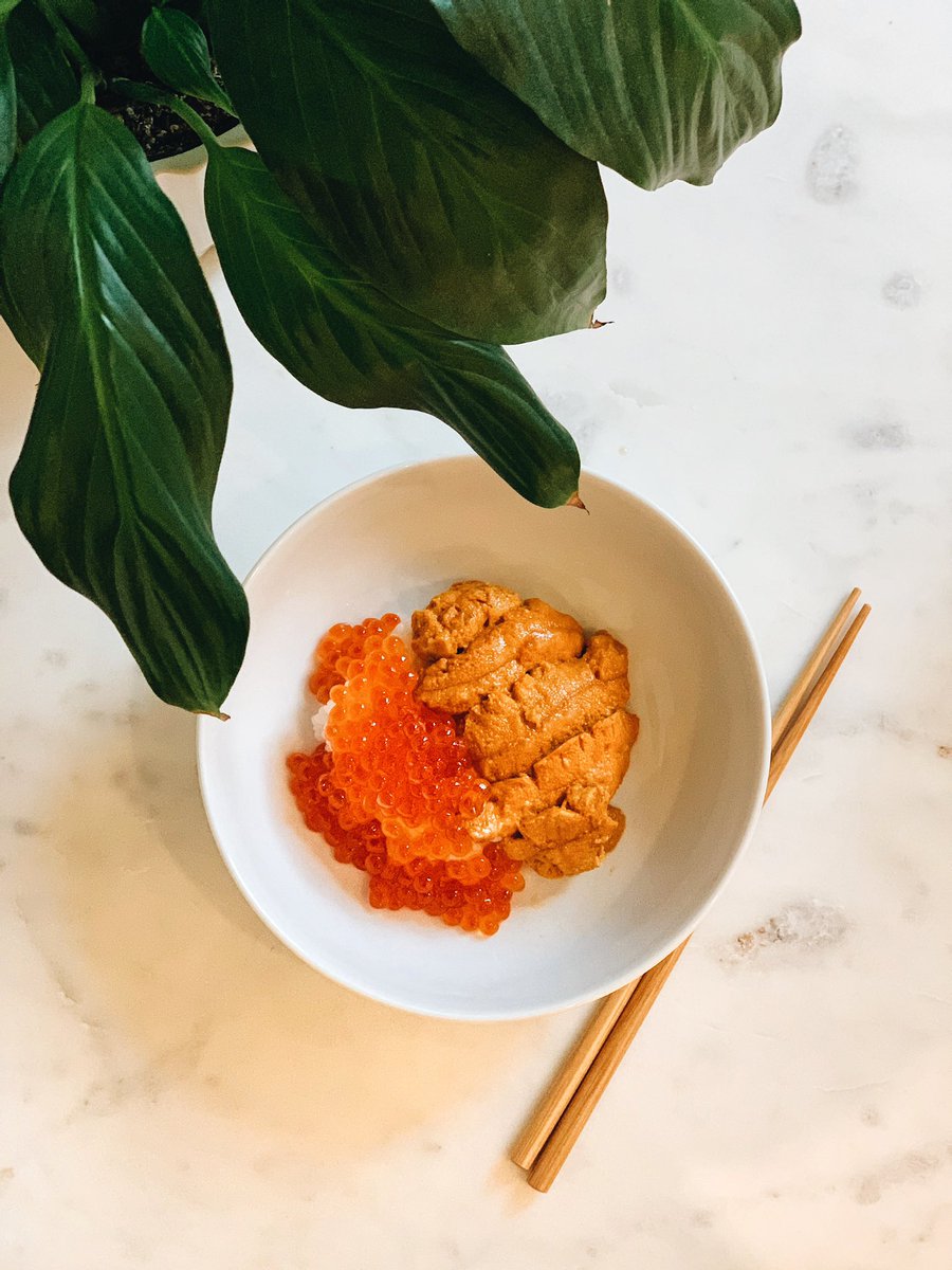 tealatteIG's tweet photo. At home edition • Uni + Ikura dinner •  https://t.co/04cmM70No5 • #meal #athome #vancouver #seafood https://t.co/PVFDTL30sq