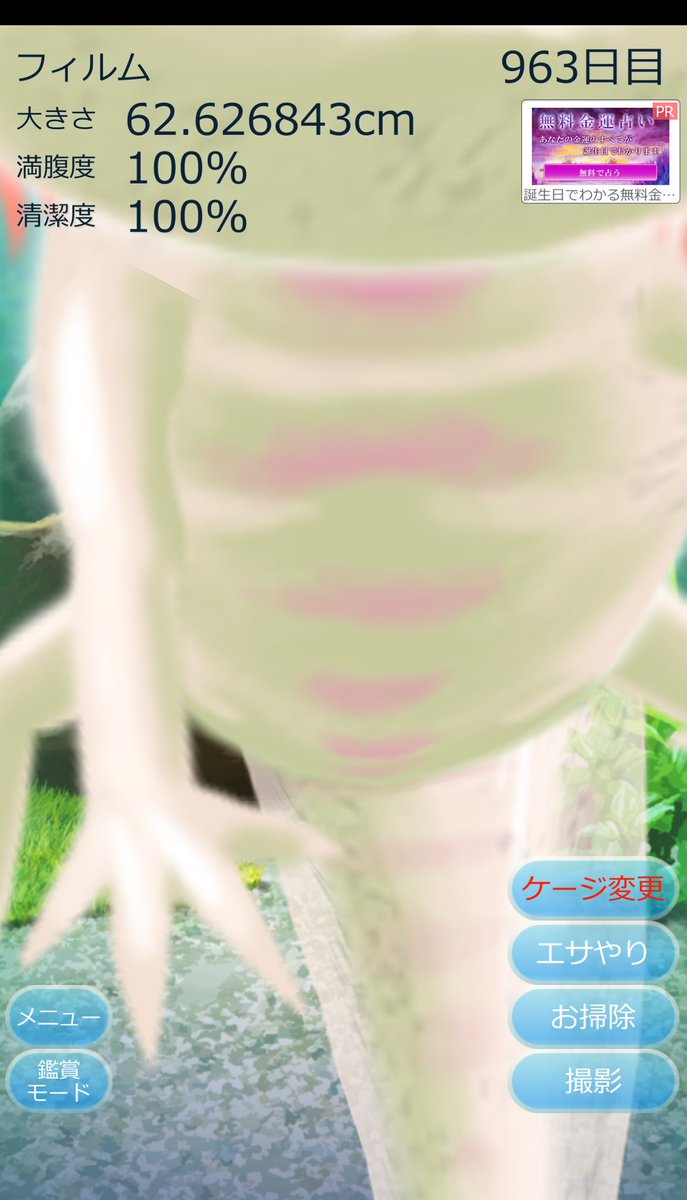 育成アプリ 育成アプリ