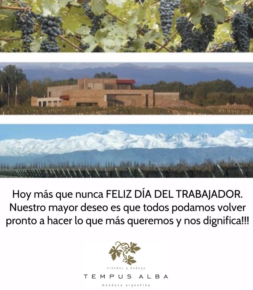 🆃🅴🅼🅿🆄🆂 🅰🅻🅱🅰 (@tempusalba) on Twitter photo 