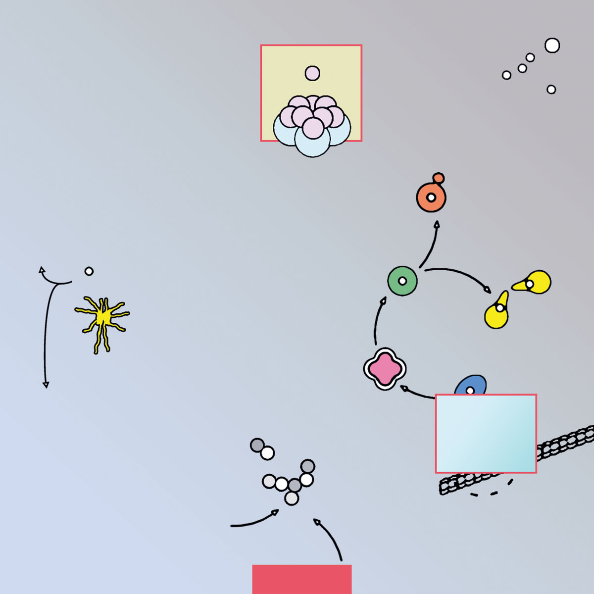 XAGXAGUXAR tweet media