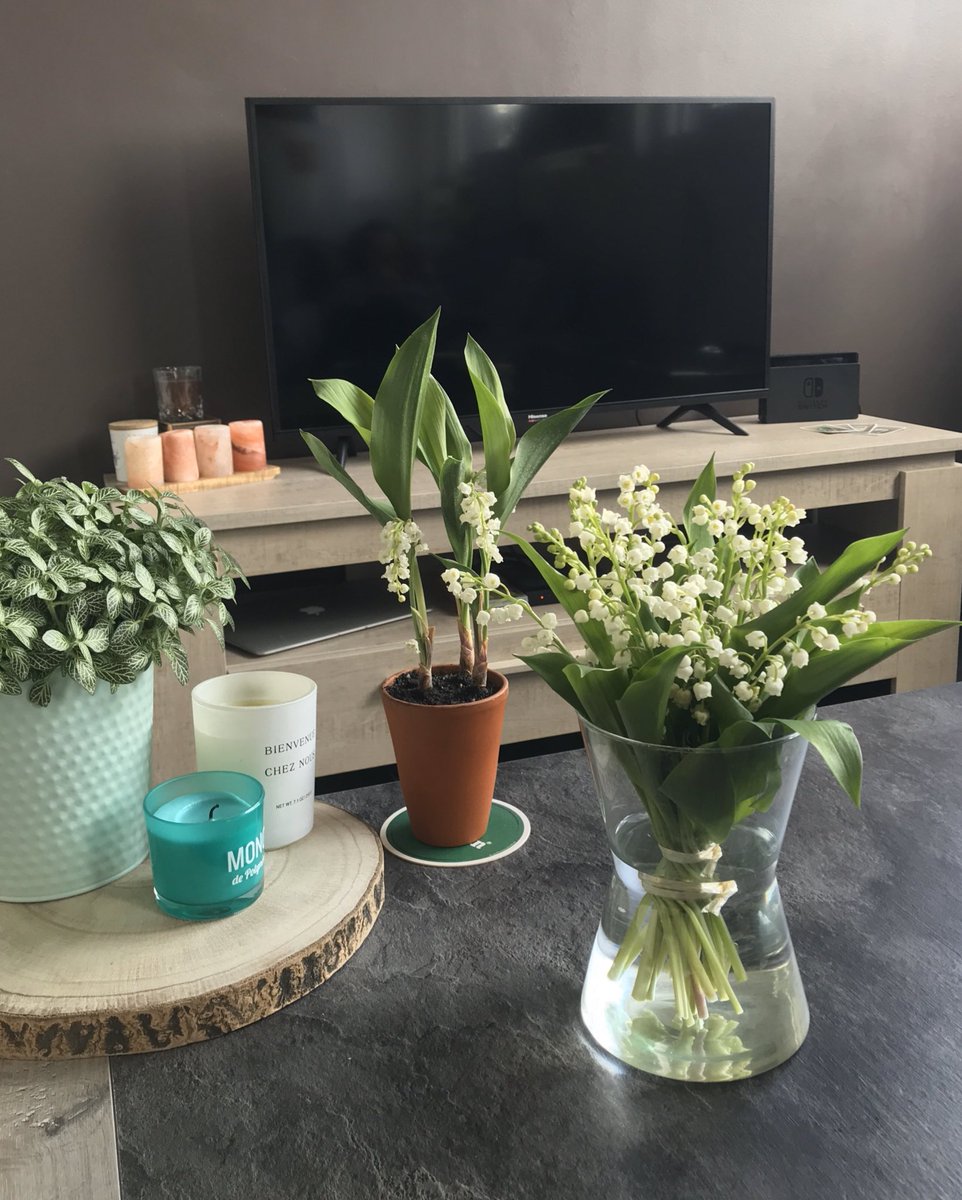 BoutDeGras's tweet photo. 💐 https://t.co/t9vh9vrzYP