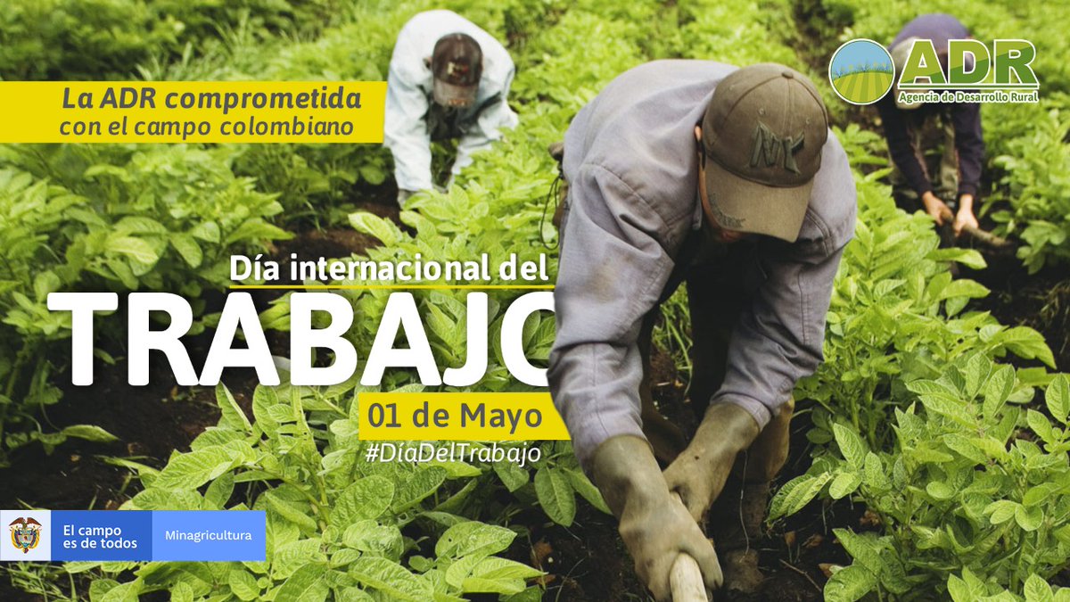 ADR_Colombia's tweet photo. En el #DíaDelTrabajo reafirmamos nuestro compromiso por y para el campo,acompañando a los productores rurales, cumpliendo sueños y cambiando vidas 💚👩🌿. Luchando cada día juntos para superar la situación actual del mundo ¡El agro no para, la ADR
avanza! https://t.co/WNyXJgJ5CE