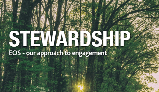 FedHermesLtd's tweet photo. EOS, our stewardship team, now represents over $1tn of assets under advice globally. Through dialogue with companies on #ESG issues, our Engagers seek to deliver improved long-term returns for #investors, as well as more #sustainable outcomes for society. https://t.co/ONYfGjXkjX https://t.co/otaqBRVS2u