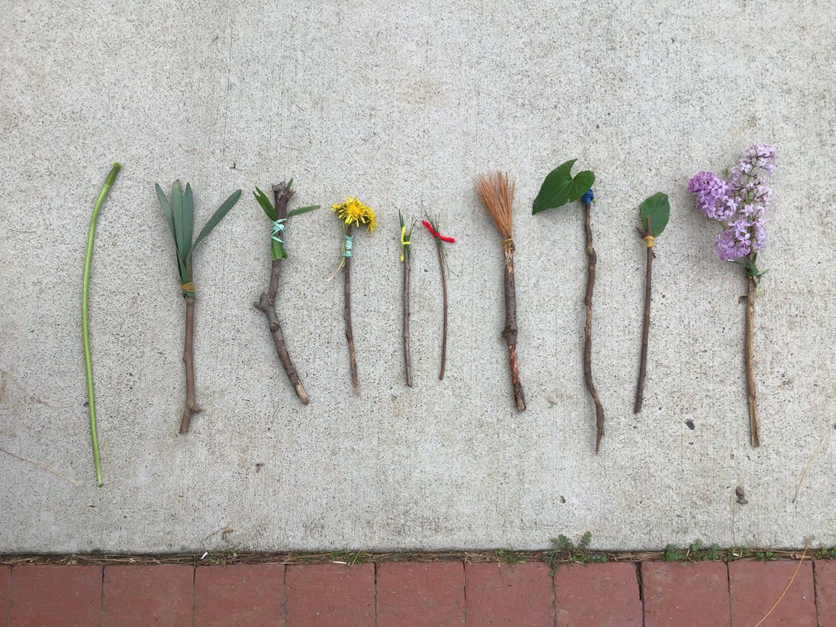 Nature Art: Handmade paintbrushes #arteducation #natureart #mpsatogether #aps #mpsa #apsarts