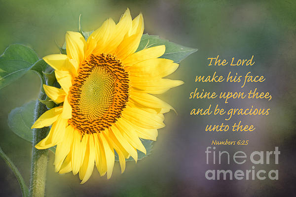 BeachcatTt's tweet photo. ‘May the LORD bless you and keep you; may the LORD cause His face to shine upon you and be gracious to you; may the LORD lift up His countenance toward you and give you peace.’…

Numbers 6:24-26 https://t.co/UuVEZ5SErd