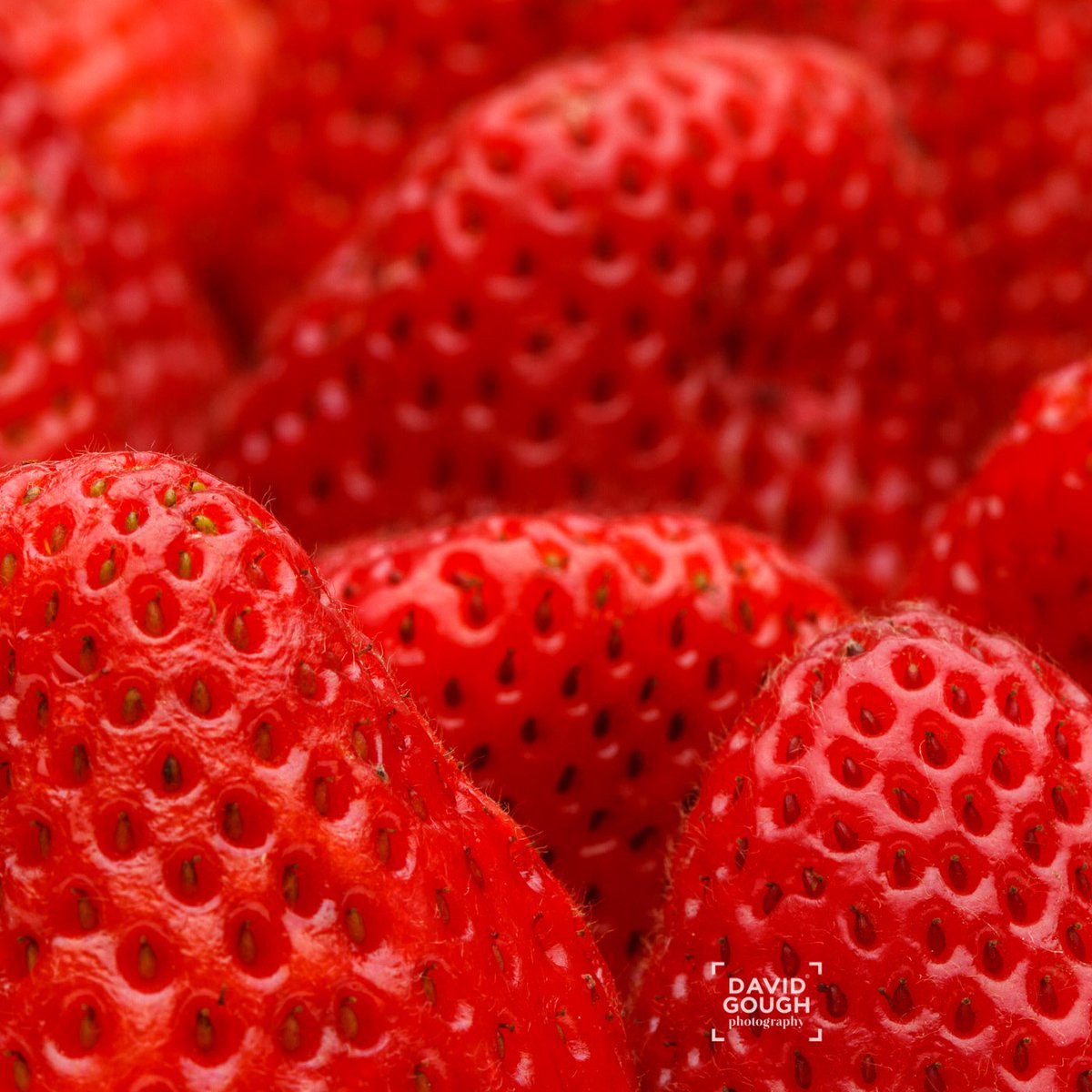 DavidJamesGough's tweet photo. Hmmm... Wimbledon may be cancelled, but the strawberries aren't. Must pick some up and a carton of cream next time I'm out shopping!

#detail #closeup #texture #tastey https://t.co/KgycqYsLPn