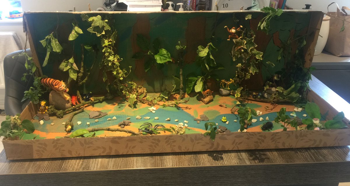 HarlestonCE's tweet photo. Year 2 have been getting very creative and crafty in their Virtual Classrooms this week, where they were set the challenge of creating a jungle-themed diorama. We were blown away with their finished projects! #Creativeclassrooms #rainforesttopic #HPAVirtualClassrooms https://t.co/EQKSo1Xi9N
